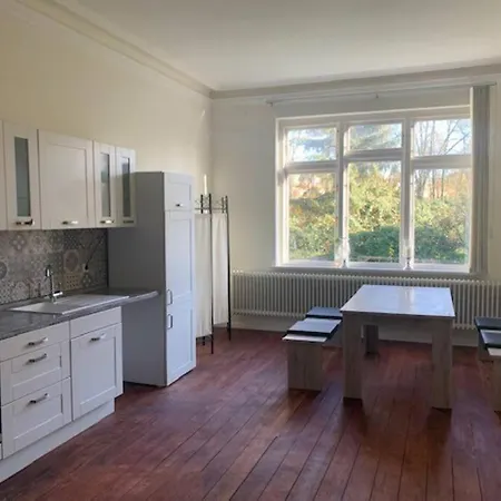 Apartment Grosszuegige In Schleswiger Altbauvilla